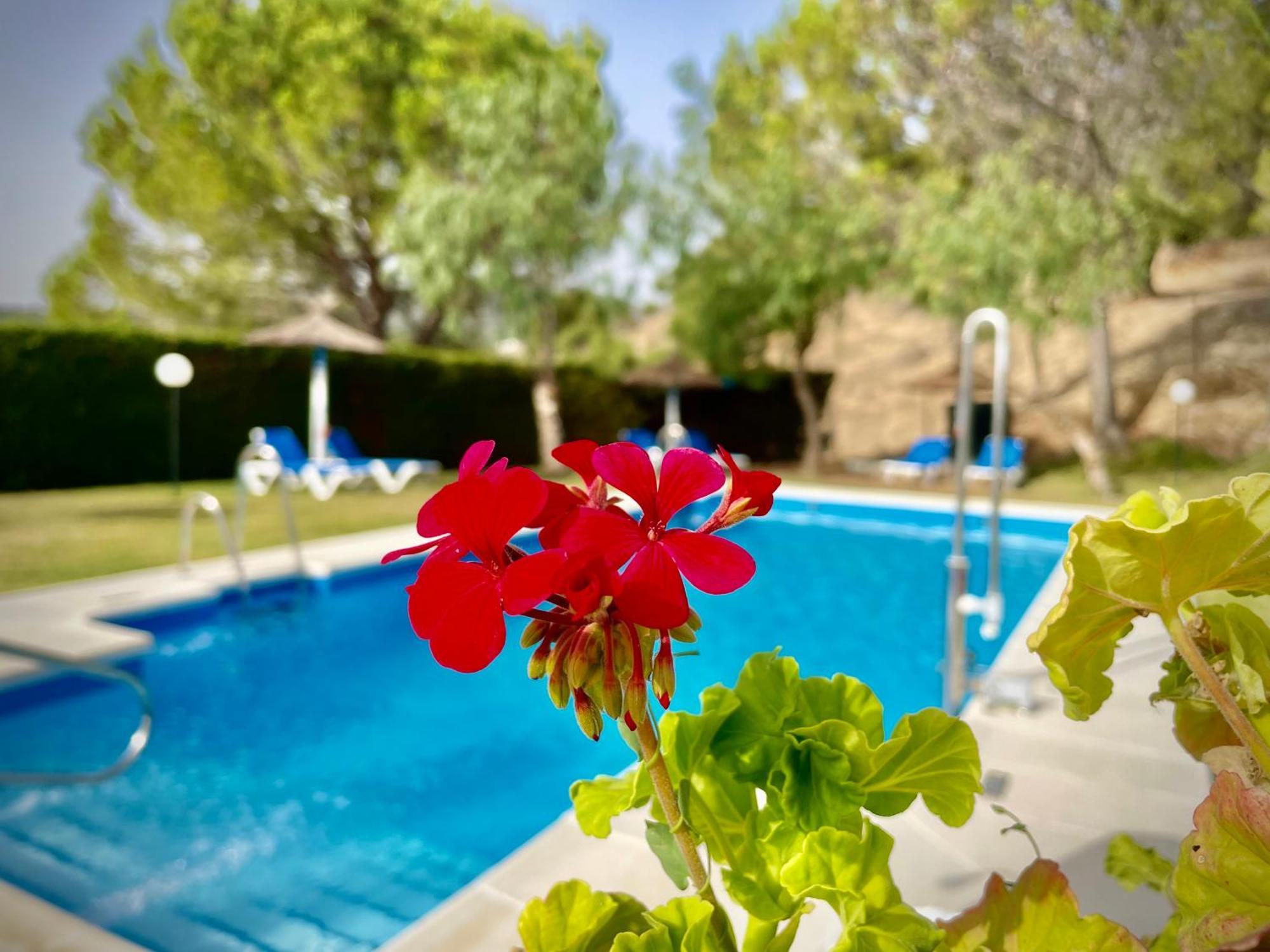 Hotel Tugasa Villa De Algar อัลการ์ ภายนอก รูปภาพ
